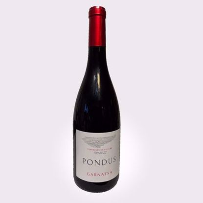 Billede af Pondus Garnatxa